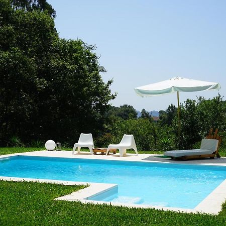 Quinta Do Vale Grande Villa Albergaria-a-Velha Kültér fotó