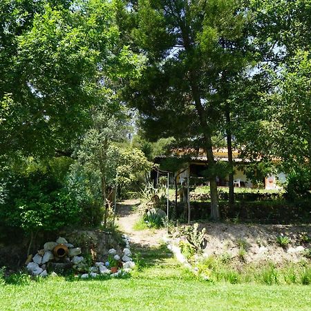 Quinta Do Vale Grande Villa Albergaria-a-Velha Kültér fotó