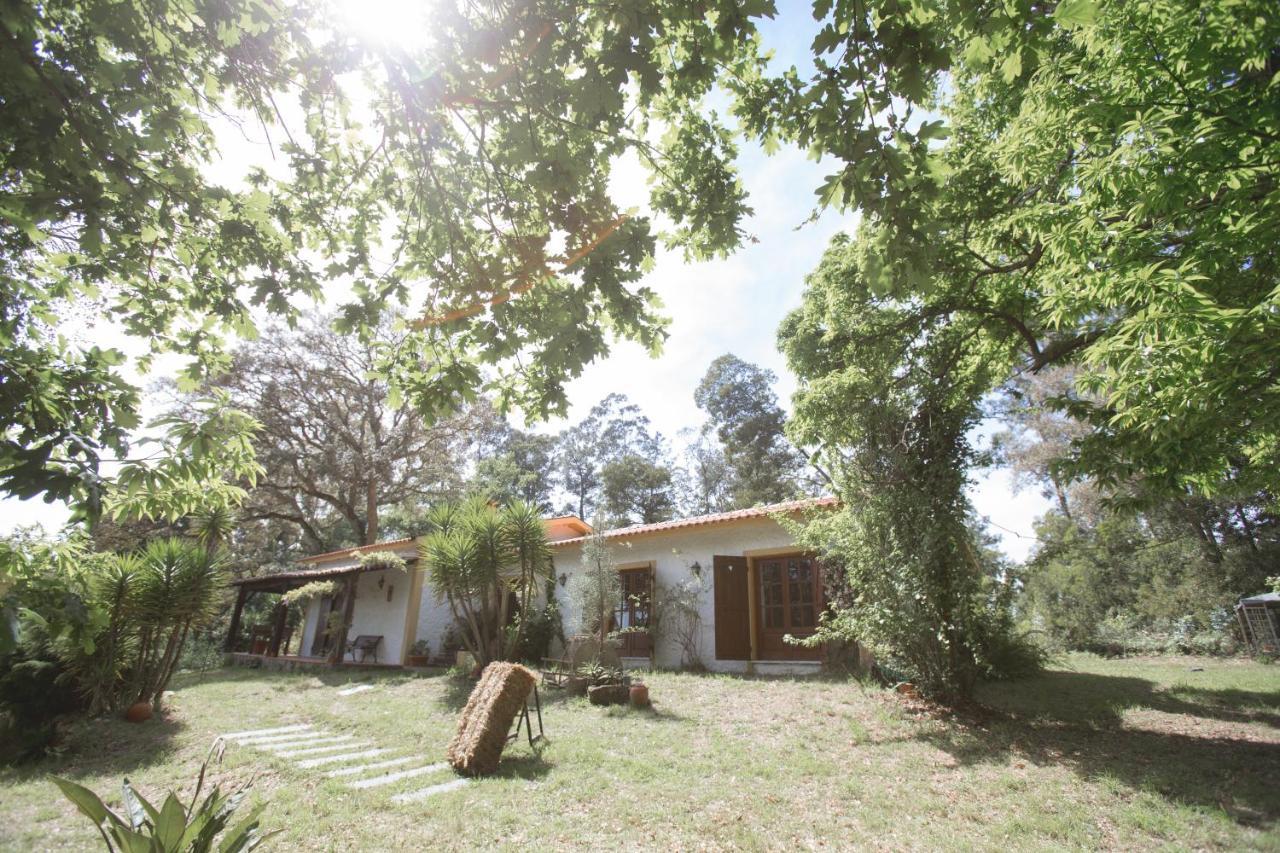 Quinta Do Vale Grande Villa Albergaria-a-Velha Kültér fotó