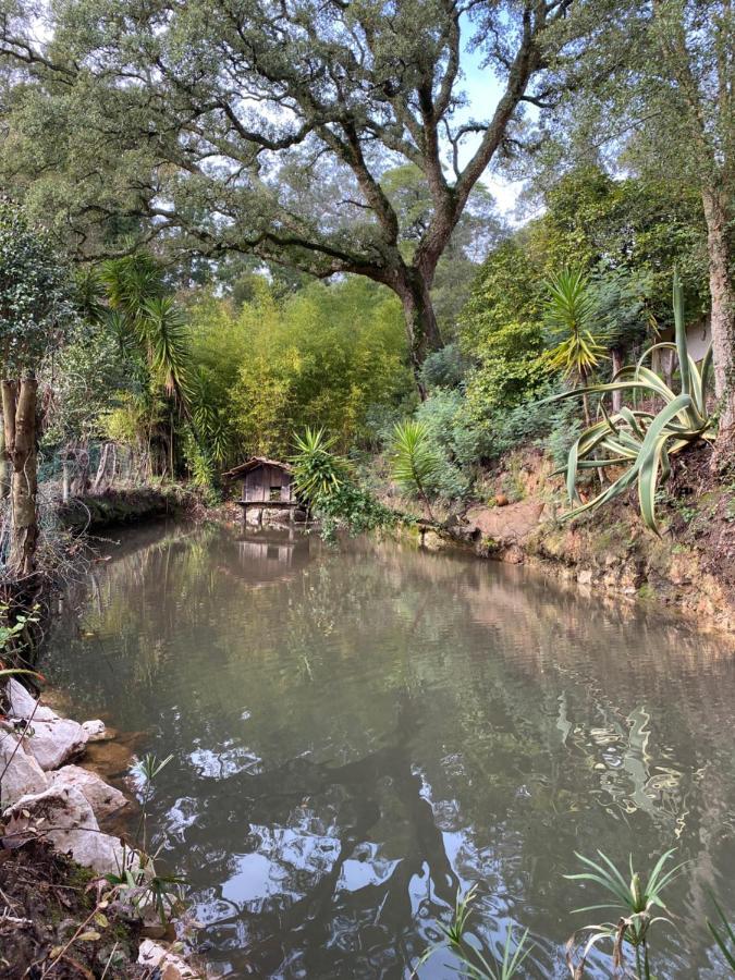 Quinta Do Vale Grande Villa Albergaria-a-Velha Kültér fotó
