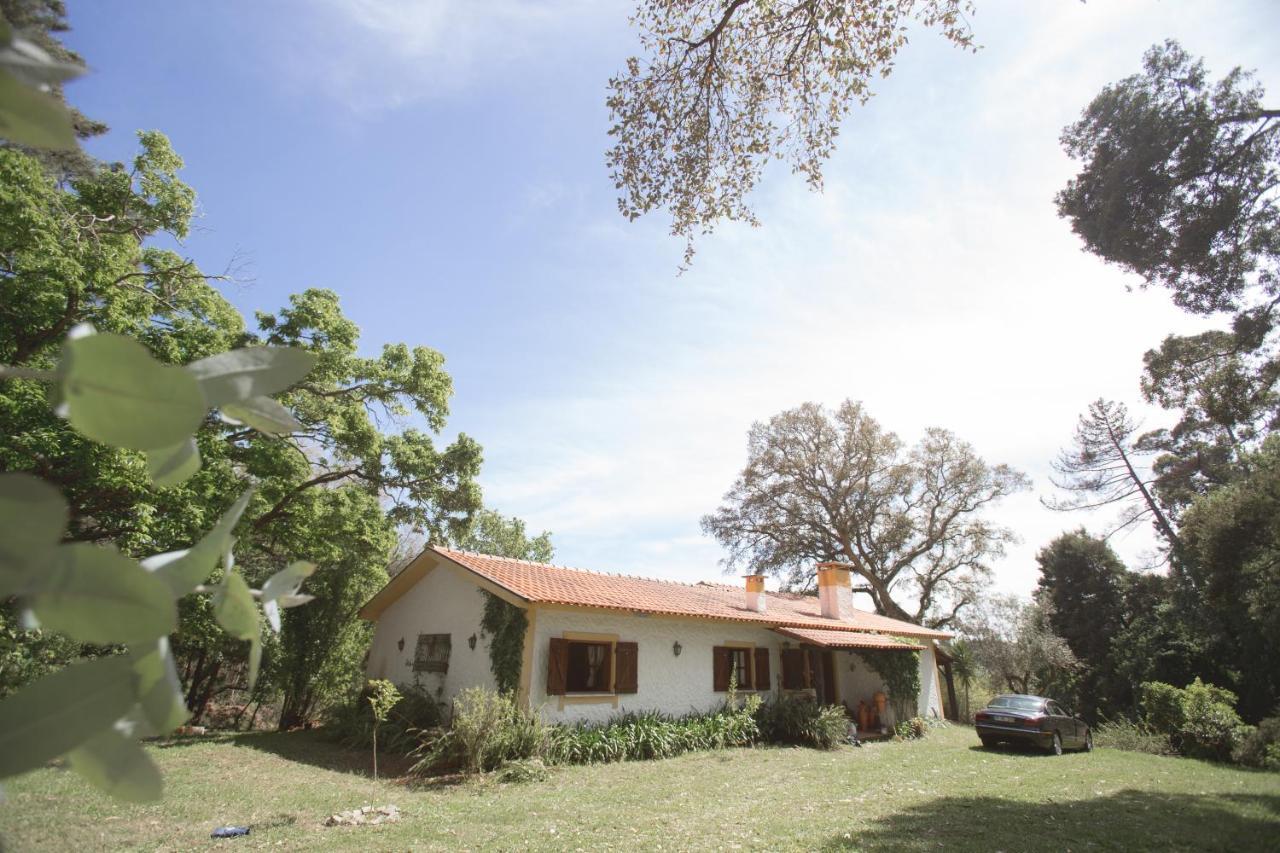 Quinta Do Vale Grande Villa Albergaria-a-Velha Kültér fotó