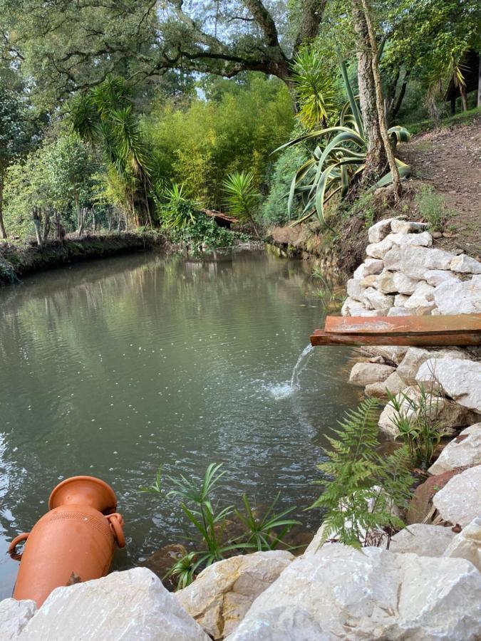 Quinta Do Vale Grande Villa Albergaria-a-Velha Kültér fotó