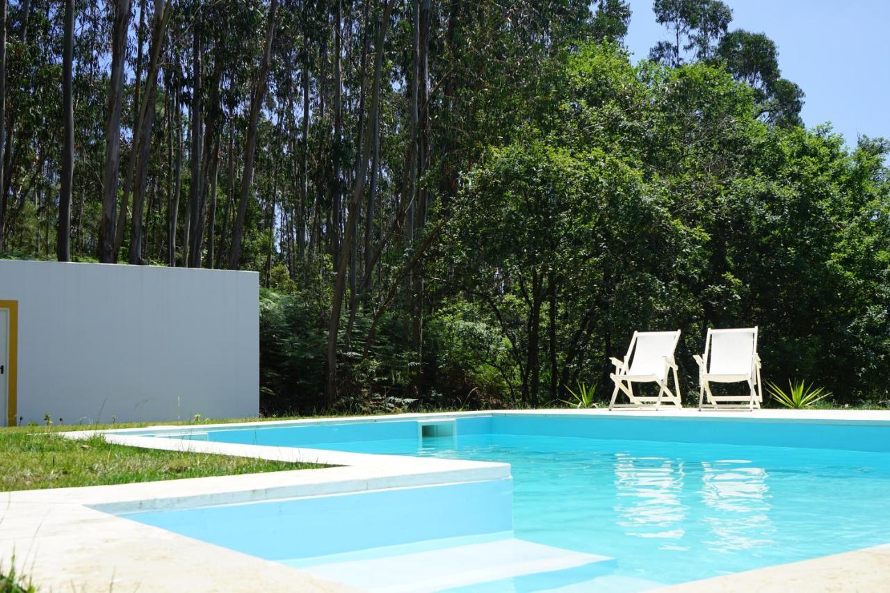 Quinta Do Vale Grande Villa Albergaria-a-Velha Kültér fotó