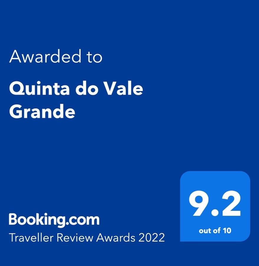 Quinta Do Vale Grande Villa Albergaria-a-Velha Kültér fotó