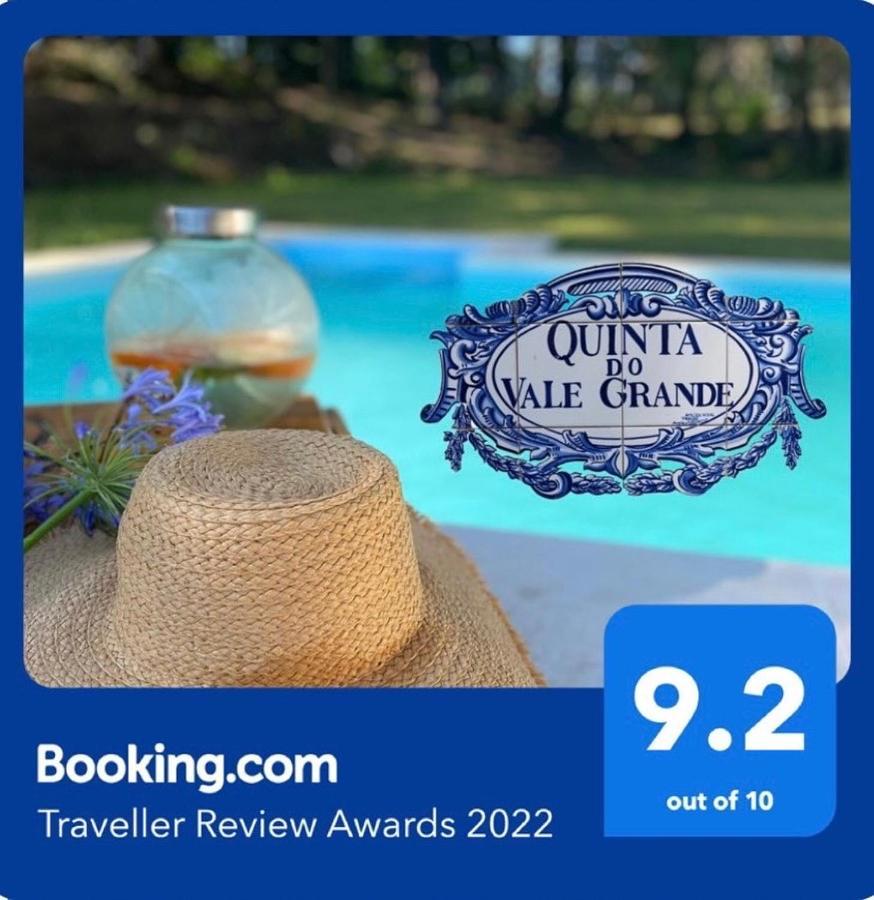 Quinta Do Vale Grande Villa Albergaria-a-Velha Kültér fotó