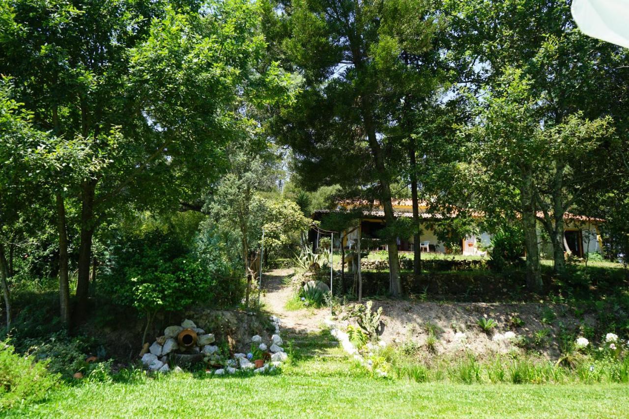 Quinta Do Vale Grande Villa Albergaria-a-Velha Kültér fotó