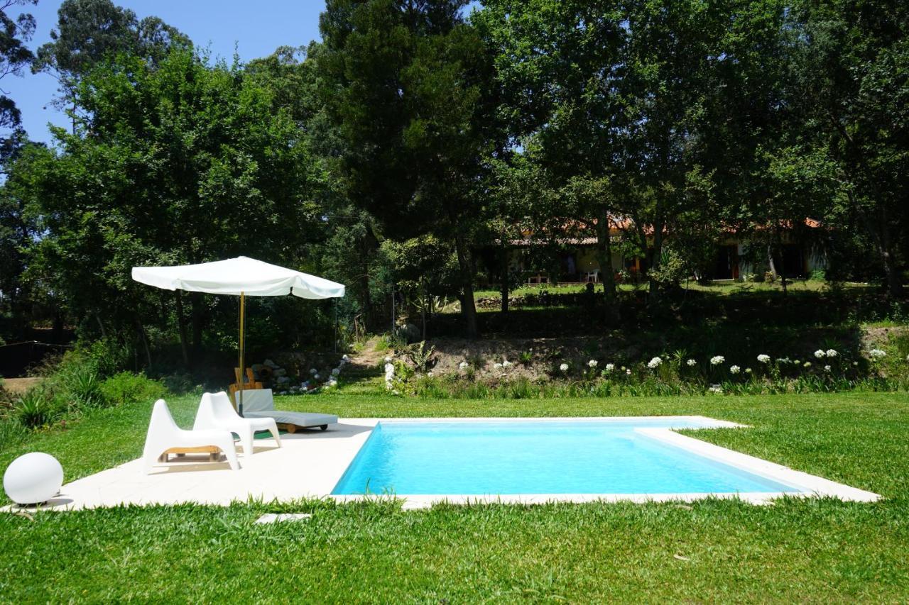 Quinta Do Vale Grande Villa Albergaria-a-Velha Kültér fotó