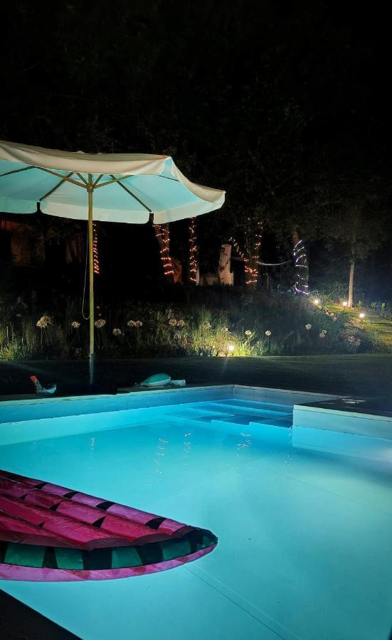 Quinta Do Vale Grande Villa Albergaria-a-Velha Kültér fotó