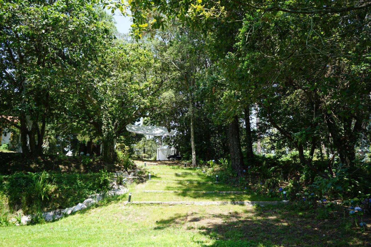 Quinta Do Vale Grande Villa Albergaria-a-Velha Kültér fotó