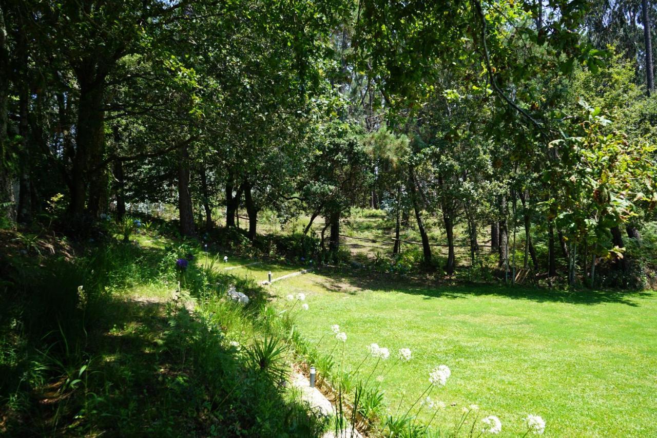 Quinta Do Vale Grande Villa Albergaria-a-Velha Kültér fotó