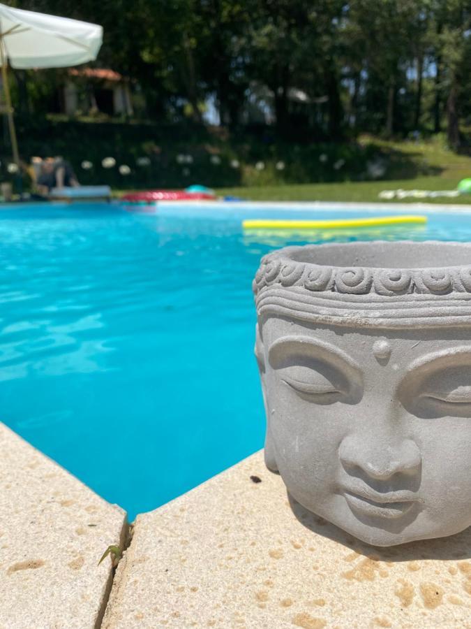 Quinta Do Vale Grande Villa Albergaria-a-Velha Kültér fotó