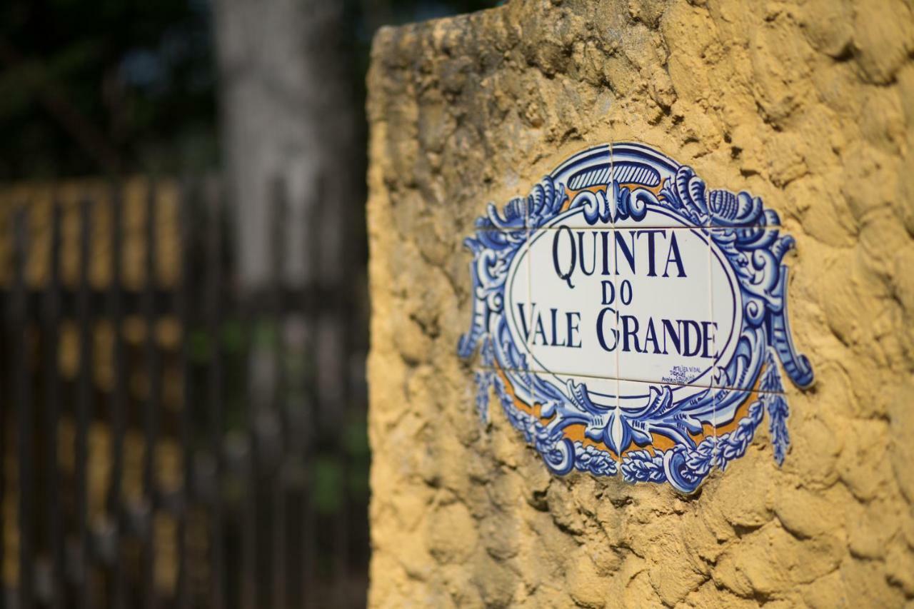 Quinta Do Vale Grande Villa Albergaria-a-Velha Kültér fotó