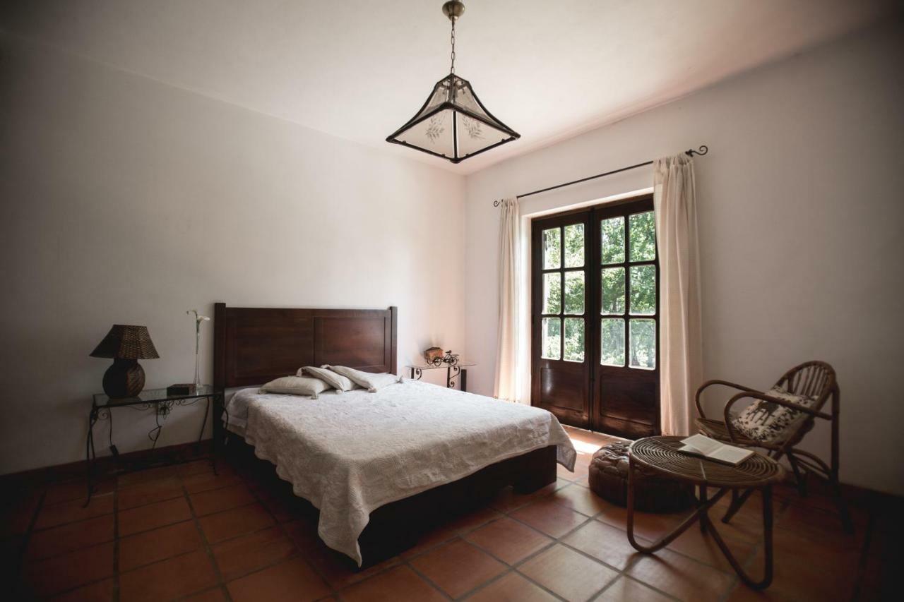 Quinta Do Vale Grande Villa Albergaria-a-Velha Kültér fotó